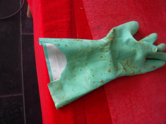 DSCF4545.JPG