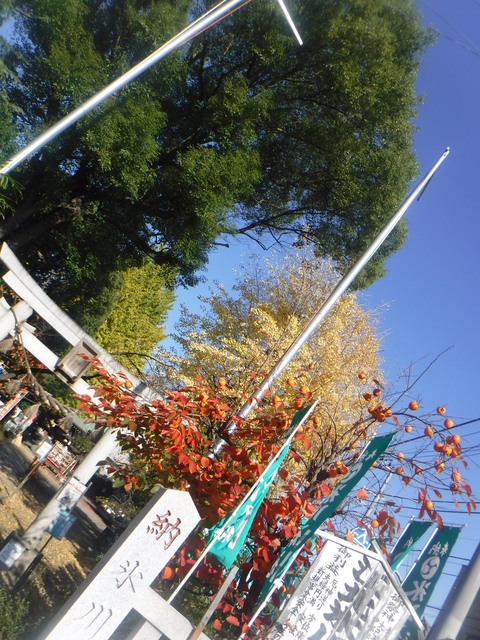 DSCF4570.JPG