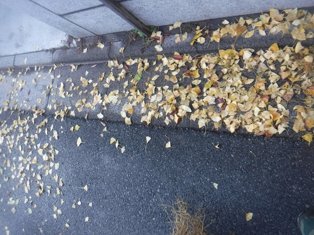 DSCF4578.JPG