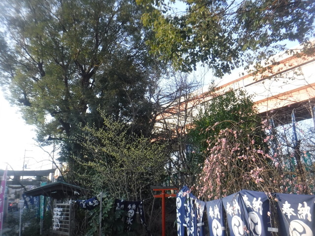 DSCF4818.JPG