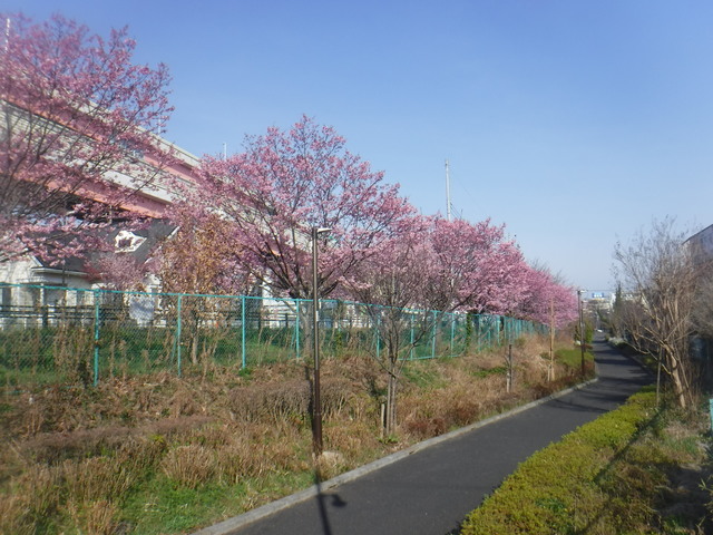 DSCF4832.JPG