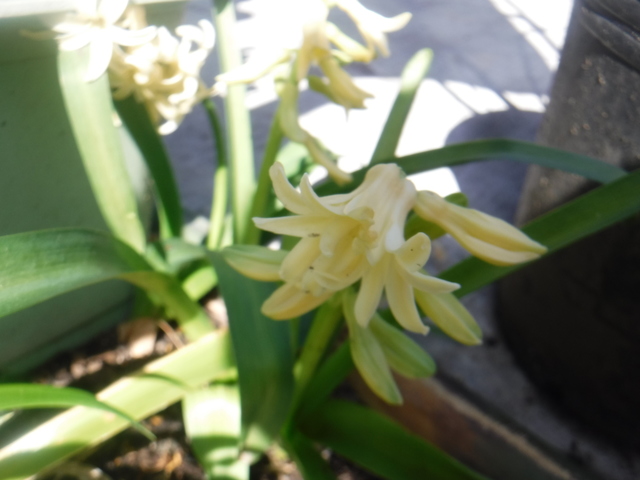 DSCF4839.JPG