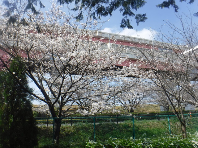 DSCF4851.JPG