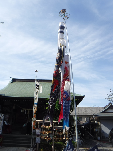 DSCF5715.JPG